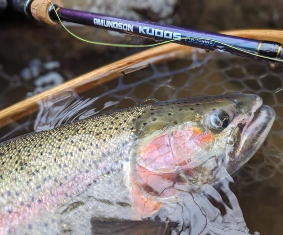 Félicitations Spinning Combo pour Twitching Jigs