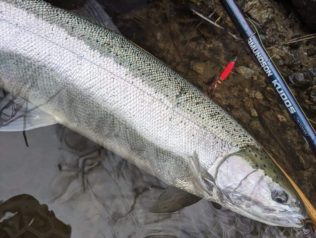 Félicitations Spinning Combo pour Twitching Jigs