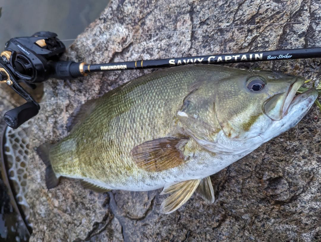 amundson savvy captain spinning combo Savvy Captain Casting Rod — Amundson Outdoor Products